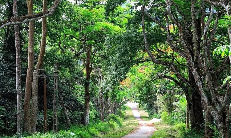 Cuc Phuong national park