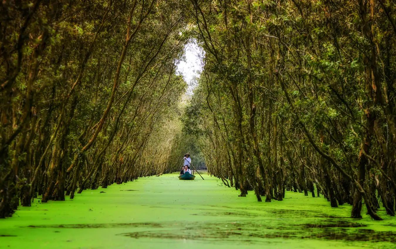 Tra Su Cajuput Forest